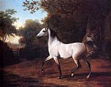 Grey Canvas Paintings - A Grey Arab Stallion In A Wooded Landscape